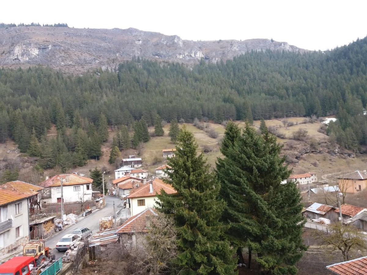 Къща За Гости Камината ทริกราด ภายนอก รูปภาพ